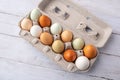 Fresh eggs from free range chickens on a small farm, beautiful colorful eggs from different breeds of chickens Royalty Free Stock Photo
