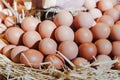 Fresh eggs at the market. Royalty Free Stock Photo