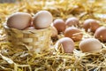 Fresh eggs in nest on straw at farm Royalty Free Stock Photo