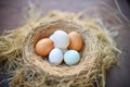 fresh eggs nestled in straw nest Royalty Free Stock Photo