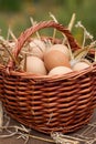 Fresh eggs