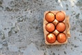 Fresh Eggs in paper brown box on a rustic background Royalty Free Stock Photo
