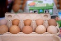 fresh eggs in paper tray Royalty Free Stock Photo