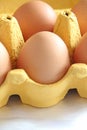 Fresh Eggs Royalty Free Stock Photo