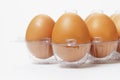 Fresh eggs in plastic tray Royalty Free Stock Photo