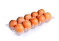 Fresh eggs on plastic tray Royalty Free Stock Photo