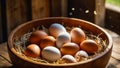 fresh eggs raw, natural in straw sunlight bio group farm bowl chicken barn Royalty Free Stock Photo