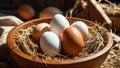 fresh eggs raw, natural in straw sunlight bio group farm bowl chicken Royalty Free Stock Photo