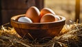 fresh eggs raw, natural in straw sunlight bio group farm bowl chicken rustic Royalty Free Stock Photo