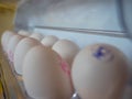 Fresh eggs in a refrigerator lined up with print on it