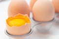 Fresh Eggs in the refrigerator tray. Royalty Free Stock Photo