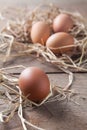 Fresh eggs on rice straw at country farm