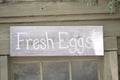 Fresh Eggs from a Chicken Royalty Free Stock Photo