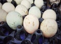 Fresh eggs sale in the street market Royalty Free Stock Photo