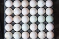 Fresh eggs stall in the fresh Market. Royalty Free Stock Photo