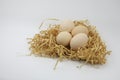 Fresh Eggs on of straw Royalty Free Stock Photo