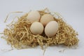 Fresh Eggs on of straw Royalty Free Stock Photo