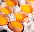 fresh eggs texture