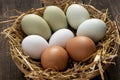 Fresh eggs of various breeds of hen in a basket with straw. Spain