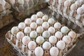 Fresh eggs white duck egg box - produce eggs fresh from the farm organic Royalty Free Stock Photo