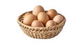 fresh eggs in wicker basket isolated on white background Royalty Free Stock Photo
