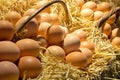 Fresh eggs Royalty Free Stock Photo