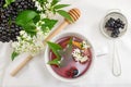 Fresh elderberry tea Royalty Free Stock Photo