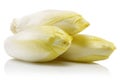 Fresh endive isolated on white Royalty Free Stock Photo