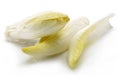 Fresh endive isolated on white Royalty Free Stock Photo