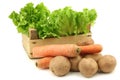 Fresh endive, potatoes and some winter carrots in a wooden crate