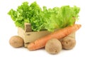 Fresh endive, potatoes and some winter carrots in a wooden crate