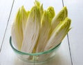 Fresh endive Royalty Free Stock Photo