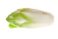 Fresh endives Royalty Free Stock Photo