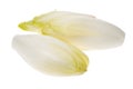 Fresh endives Royalty Free Stock Photo