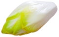 Fresh endives, vegetable ingredients for cooking Royalty Free Stock Photo