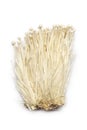 Fresh Enoki mushrooms Royalty Free Stock Photo