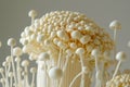 Fresh Enoki Mushrooms Cluster on Neutral Background Exotic Asian Fungi, Culinary Ingredients