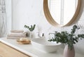 Fresh eucalyptus branches and bathroom items on countertop