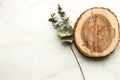 Fresh eucalyptus leaves with wood slice on marble background,mock up for adding text,copy space.