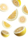 Fresh exotic pomelo fruits falling on white background