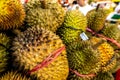 Fresh exotic tropical fruit durian on sale on a local market, Bali island. Royalty Free Stock Photo