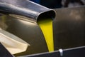 Fresh extra virgin olive oil pouring into tank at a cold-press factory Royalty Free Stock Photo