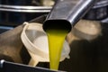Fresh extra virgin olive oil pouring into tank at a cold-press factory Royalty Free Stock Photo