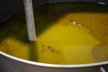 Fresh extra virgin olive oil pouring into tank at a cold-press factory Royalty Free Stock Photo