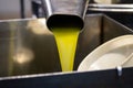 Fresh extra virgin olive oil pouring into tank at a cold-press factory Royalty Free Stock Photo