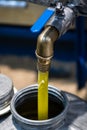 Fresh extra virgin olive oil pouring into tank at a cold-press factory Royalty Free Stock Photo