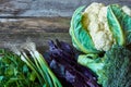 Fresh farm dill, parsley, young onions, red basil, broccoli and cauliflower on an old rough wooden surface, healthy eating concept