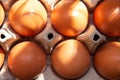 Fresh farm eggs in the cardboard boxes for storing eggs. Packaging for chicken made of recycled waste paper Royalty Free Stock Photo