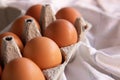 Fresh farm eggs in the cardboard boxes for storing eggs. Packaging for chicken made of recycled waste paper Royalty Free Stock Photo