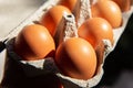 Fresh farm eggs in the cardboard boxes for storing eggs. Packaging for chicken made of recycled waste paper Royalty Free Stock Photo